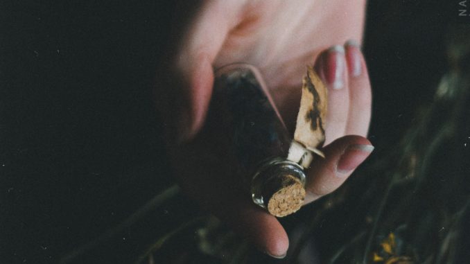 the-herbalist-natalia-drepina
